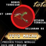 Macau 19:00 | Prediksi Togel Minggu 24 Desember 2023 Jam 7 Malam