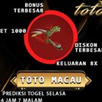 Macau 19:00 | Prediksi Togel Selasa 2 Januari 2024 Jam 7 Malam